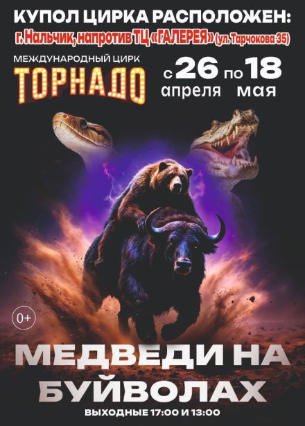 Цирк-шапито «Торнадо». Шоу «Медведи на буйволах», Нальчик