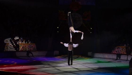 Цирковая программа «Жар-птица»