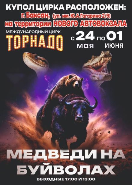 Цирк-шапито «Торнадо». Шоу «Медведи на буйволах», Баксан