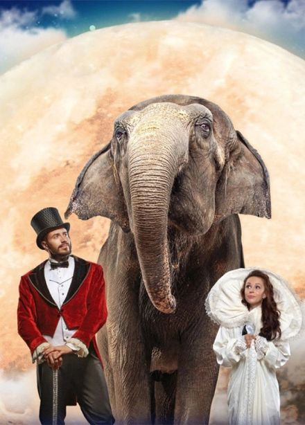 Цирк «Девочка и слон»