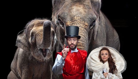Цирк «Девочка и слон»