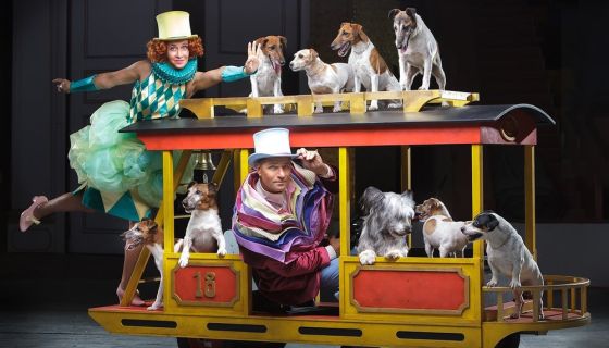 Цирк «Девочка и слон»