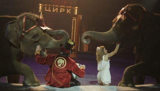 Цирк «Девочка и слон»