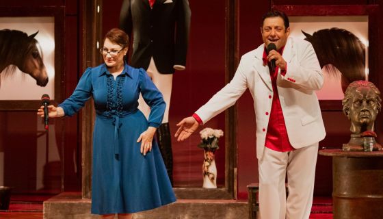 Спектакль «Ищу мужа», Железноводск