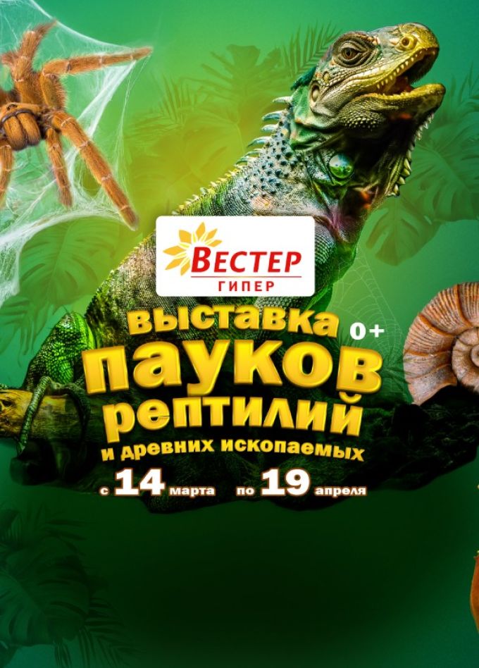 Выставка пауков и рептилий «Тайна паутины», Нальчик