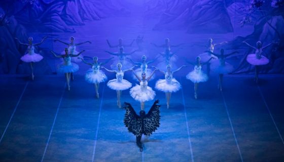 Балет «Лебединое озеро», Благодарный