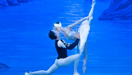 Балет «Лебединое озеро», Благодарный