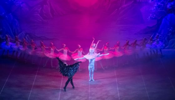 Балет «Лебединое озеро», Благодарный