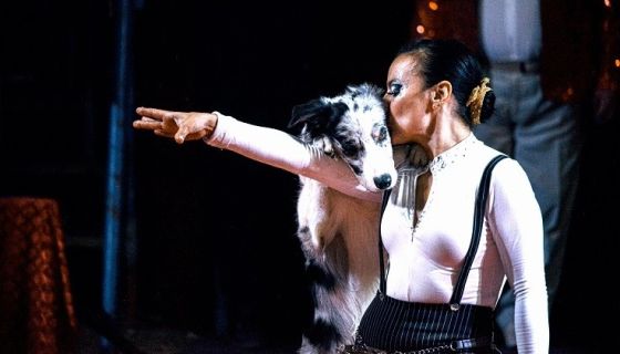 Цирк-шапито «Оптимус», Урус-Мартан