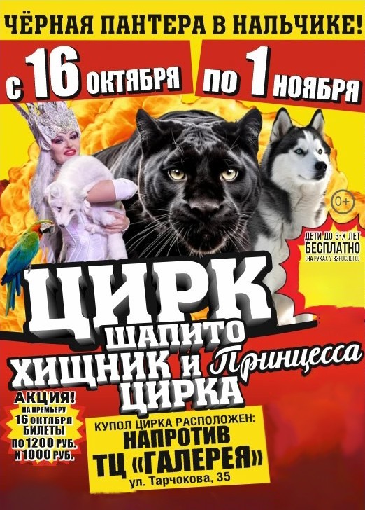 Цирк-шапито «Циркуслэнд», Нальчик